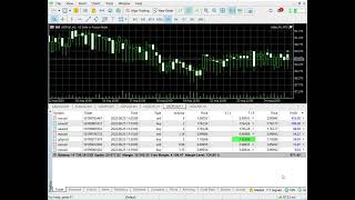 REVIEW Galileo FX profit 920day Real Account [upl. by Worrad]