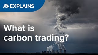 What is carbon trading  CNBC International [upl. by Blatman]