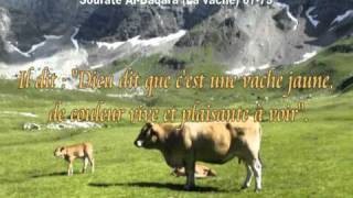 Sourate AlBaqara la vache Mohamed Elmenchaoui la plus belle voix [upl. by Sahc]