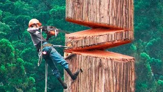 40 Minutes Of Satisfying Videos Of Workers Doing Their Job Perfectly  Best Moments [upl. by Tildy]