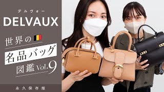 名品バッグ図鑑vol9📚 DELVAUXデルヴォー名品バッグ「ブリヨンampタンペートampクールボックス」 レビュー🔍収納力や使いやすさを徹底レビュー｜バイマ購入品紹介 [upl. by Claudy]