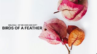 Billie Eilish  BIRDS OF A FEATHER Clean  Lyrics [upl. by Oiram]