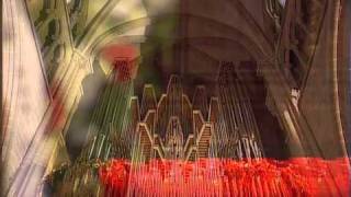 JS Bach Actus Tragicus Sinfonia  Thilo Muster in Geneva Cathedral [upl. by Thissa663]