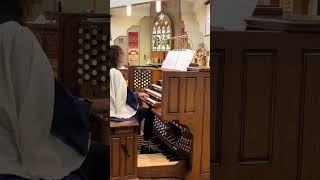 Alleluia Sing to Jesus Hyfrydol hymn tune [upl. by Annahael]