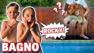 PRIMO BAGNO DI CANE ROCKY RIUSCIREMO A PRENDERLO FIGLIACHIARA SI TUFFA IN PISCINA [upl. by Toft]