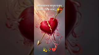 😔 ভালোবাসার মানুষ যখন বদলে তায়💔💫 কষ্টের স্ট্যাস্টাস  কষ্টের কথা টিকটকkoster kotha black screen [upl. by Berthe90]