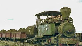 Past Present and Future Steam and Diesel Engines of the Vale of Rheidol Railway Part 41 [upl. by Epilef814]