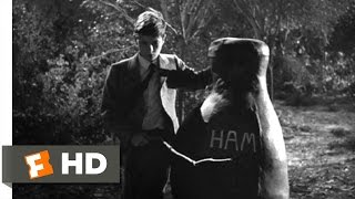 To Kill a Mockingbird 910 Movie CLIP  Boo is a Hero 1962 HD [upl. by Ymled163]