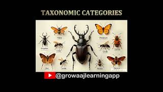 Taxonomic Categories educationbiology biologyclass12 [upl. by Enale]