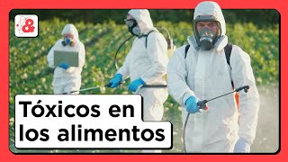 TÓXICOS en los alimentos ¿antibióticos hormonas pesticidas mercurio cadmio [upl. by Kearney]