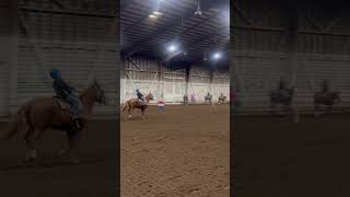 fypシ゚ horse goviral horsegirl barrelrace barrels goviral [upl. by Nathanial]