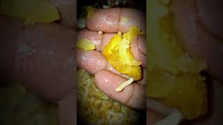 food foodvideos recipe viralshort 1kveiw biriyani [upl. by Ehrlich]