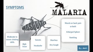 Malaria Introduction  Communicable Disease [upl. by Manley719]