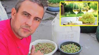 How to make wine at home [upl. by Brentt]