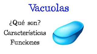 🌐 ¿Qué son las Vacuolas 💥 Funciones Fácil y Rápido  BIOLOGÍA [upl. by Onitsoga]