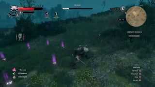 The Witcher 3 Wild Hunt  How to use Magic Trap [upl. by Neelhtac]