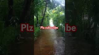 মানবতার ফেরিওয়ালারা কোথায় bolna noakhali  mannan420 newvideo [upl. by Borchert863]