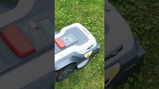 Roboup t1200 pro Hinderniserkennung lawnmowerrobot mähroboter lawnmower roboup rasenpflege [upl. by Ecined333]