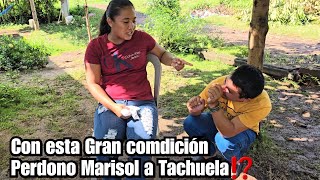 Tachuela convence a Marisol y lo Termina Perdonando😱Le pone esta Condición🤔No Creeras Lo que Pidio [upl. by Nosredna807]