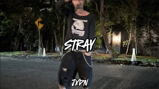 Stray  Jxdn  Correct lyrics ￼ [upl. by Retep447]