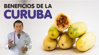 Beneficios de la curuba para la salud [upl. by Nnaik493]