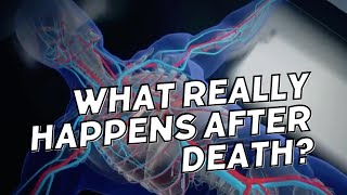 What Happens to the Body After Death  A StepbyStep Breakdown [upl. by Sherye]