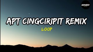 APT x CINGCIRIPIT REMIX LOOP [upl. by Ayekahs446]