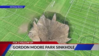 100footwide sinkhole disrupts Illinois park [upl. by Anerat]