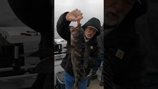 Full of Sea Lice fishing ocean oregon PNW [upl. by Flavia]