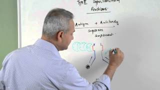 Immunology lecture 15  Type III Hypersensitivity Reactions 16 [upl. by Ettedo566]