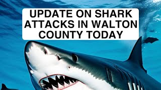 UPDATE ON 30A FLORIDA SHARK ATTACKS 6724 [upl. by Jodoin]