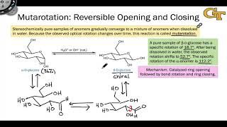 1605 Anomers Mutarotation and the Anomeric Effect [upl. by Coralyn]