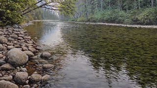 Painting a Realistic River With Acrylic Time Lapse 90 [upl. by Isnan]