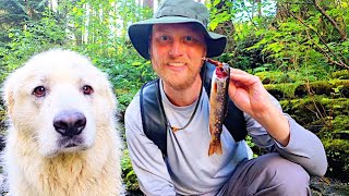 WILD Trout Catch amp Cook in Remote Creek SOLO Challenge [upl. by Uamak]