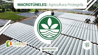 🌱🫐 AgroTalks  expoagrofuturo2022  Tunneltek  Macrotúneles  Agricultura Protegida 🌱🫐 [upl. by Bo562]