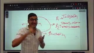 Endocrine Pharmacology Lecture 4 Thyroid Hormones And Antithyroid Drugs [upl. by Bever806]