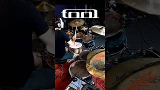 Outstanding drum parts part 18  Tool  Lateralus dannycarey tool [upl. by Row]