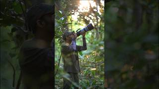 Bird Photography with Nikon Z8 Nikon 180600mm shortvideo shorts nikonwildlife nature [upl. by Harrat116]