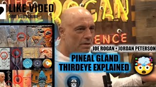 Joe Rogan and Jordan Peterson Discuss Pineal Gland  Third Eye [upl. by Giule]