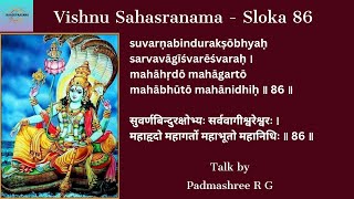 Vishnu Sahasranama  Sloka 86  Hinduism  Philosophy  Sanatana Dharma [upl. by Isbella]