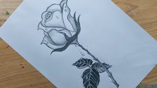 How to draw a beautiful Rose  easy drawing  pencil sketch step by step [upl. by Molloy]