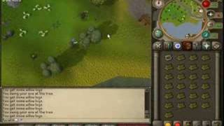 Runescape 199 Woodcutting and Firemaking Guide the easy way [upl. by Silvestro]