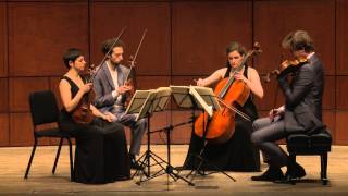 Beethoven String Quartet Op 132 in A Minor  Ariel Quartet full [upl. by Ettelloc267]