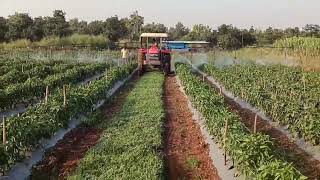 Boom sprayer for vegetables and orchard सब्जी और बगीचे में स्प्रे करने वाला स्प्रेयर boomsprayer [upl. by Ferino]