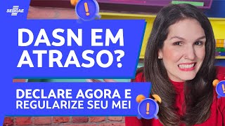 Como DECLARAR a DASN em ATRASO 🤔️ DESCUBRA como fazer e DEIXE seu MEI em dia ❌ EVITE maiores MULTAS [upl. by Karena]