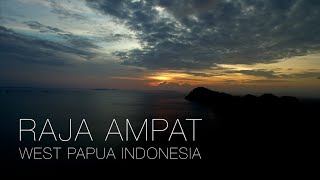 Best of Scuba Diving Raja Ampat  Wallacea Dive Cruises MV Ambai [upl. by Primrosa914]