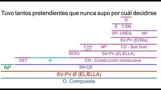 Construcciones comparativas y consecutivas según la NGLE [upl. by Michaelina]