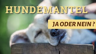 Braucht ein Hund einen Hundemantel￼ [upl. by Yonina]