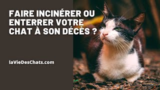 FAIRE INCINÉRER OU ENTERRER VOTRE CHAT À SON DÉCÈS [upl. by Sally641]