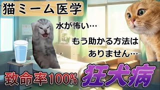 【猫ミームで学ぶ医学】発症すると助からない狂犬病 猫ミーム [upl. by Aleb488]